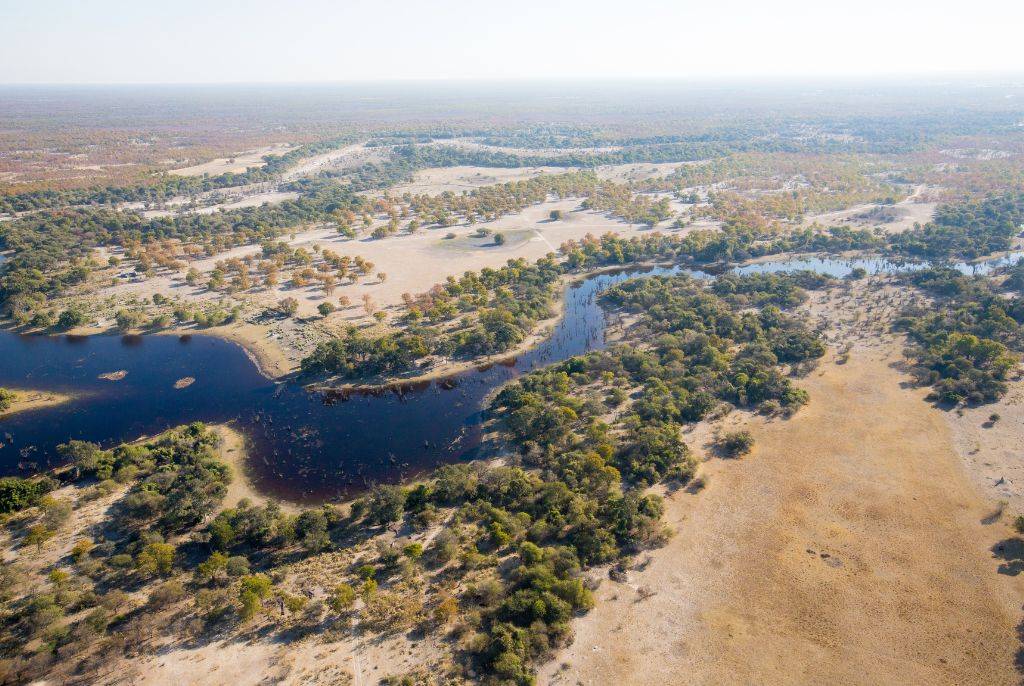 Les safaris en mokoro : une expérience unique dans le delta de l’Okavango